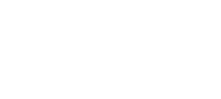 Rapid